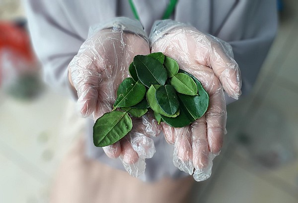 Sostenibilidad en sanidad Sostenibilidad en sanidad